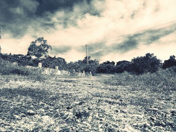 Scenic view of field against sky during winter