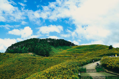 Scenic view of field against sky