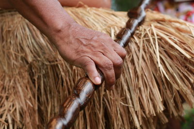 Close-up of hand holding hay