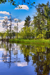 Reflection of trees in lake against sky