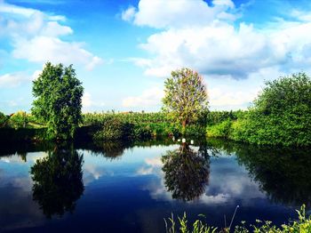 Reflection of trees in lake against sky