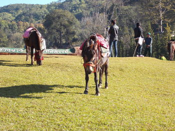 People riding horse on field