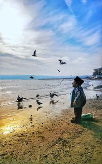 View of seagulls on beach