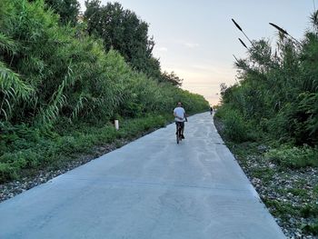 Rear view of man walking on road against sky