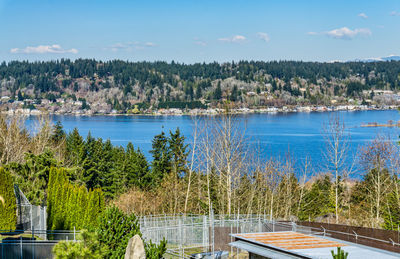 Home line the shore of lake sammamish near issaquah, washington.