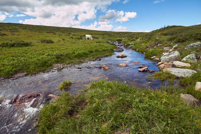 Scenic view of river amidst land against sky