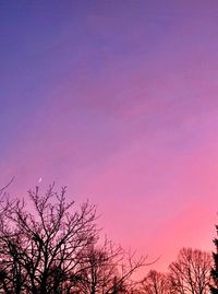 Low angle view of silhouette trees against sky during sunset