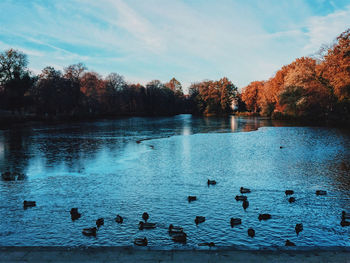 Ducks swimming in pool by lake against sky