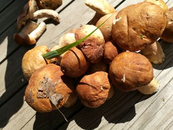 Close-up of mushrooms on table