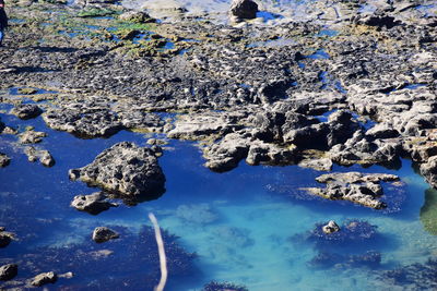 Aerial view of sea and rocks
