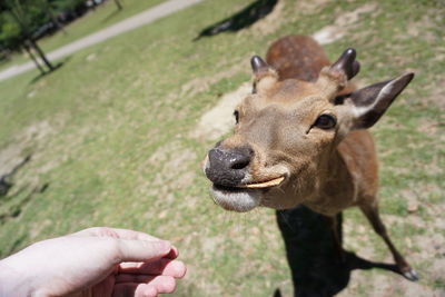 Midsection of person