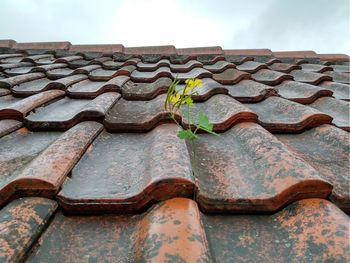 Low angle view of old roof and building against sky