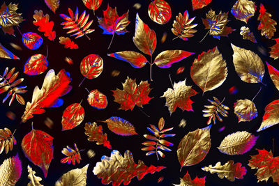 Full frame shot of multi colored leaves floating on plant during autumn