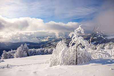 Snow covered landscape against sky