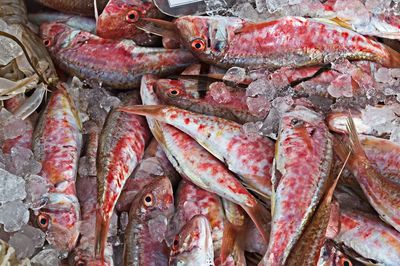 Close-up of fish for sale at market stall