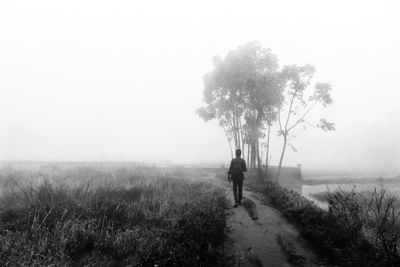 mist