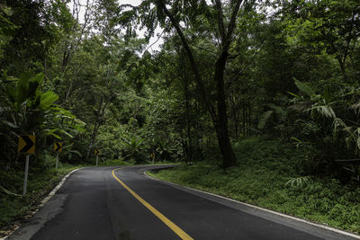 Road amidst trees in forest