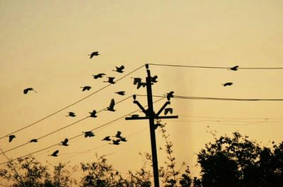 Low angle view of power lines