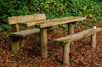 Wooden structure in park