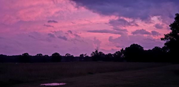 Silhouette trees on field against sky at sunset