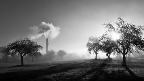 Smoke emitting from tree against sky