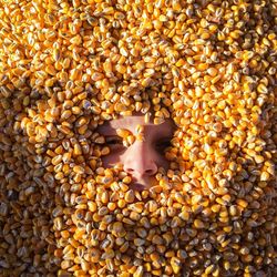 Close-up view of boy in yellow seeds