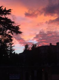 Low angle view of silhouette trees against dramatic sky