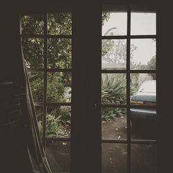 View of trees through window