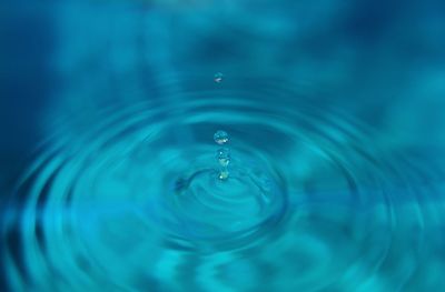 Close-up of water drop
