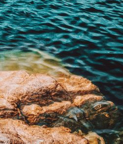 Close-up of rock in sea