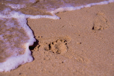 High angle view of footprints on wet sand