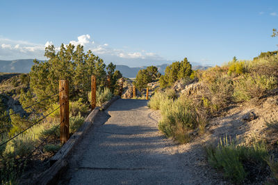 Road amidst trees against sky