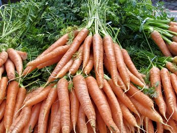 High angle view of carrots in market