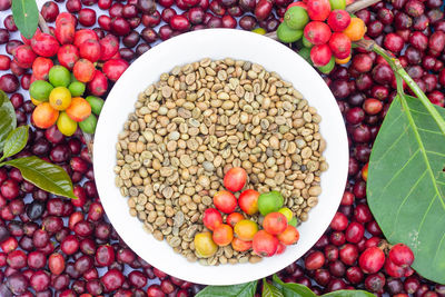 Directly above shot of fruits in bowl