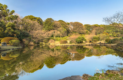 The pond of the japanese garden of the koishikawa botanical gardens