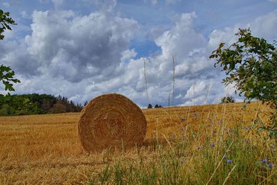 Hay bales on field against sky