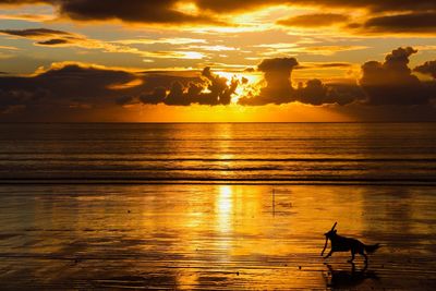 Picture of what looks like  a mouse in the clouds over the ocean 