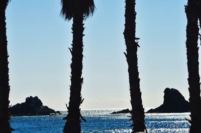 Silhouette trees by sea against clear sky