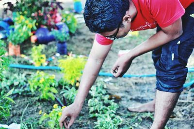 Rear view of men looking at plants