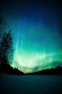 Scenic view of silhouette trees against sky at night