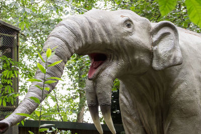 View of elephant statue