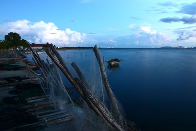 Blue hour in giliacquas lagoon