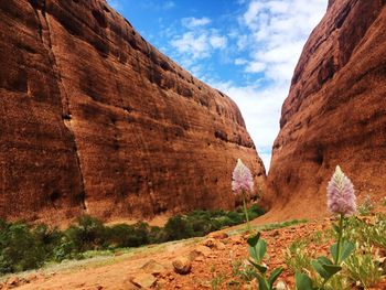 Scenic view of mountain against sky