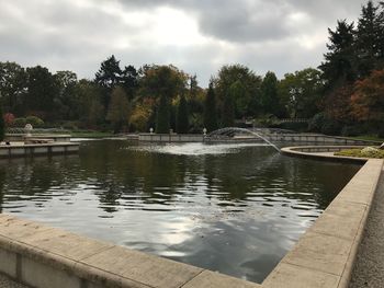 Reflection of trees in water