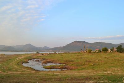 Scenic view of field against sky