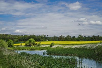 Scenic view of lake against sky