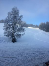 Scenic view of snow covered field against sky