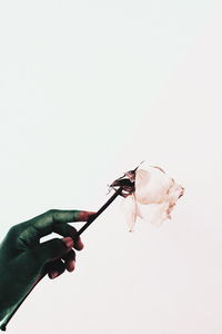Close-up of woman hand over white background