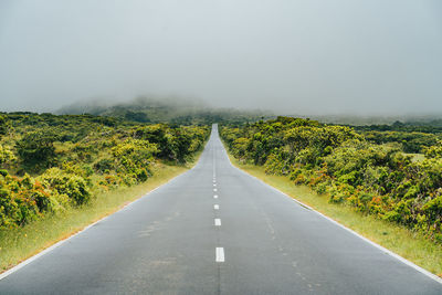 Empty road along plants and trees against sky