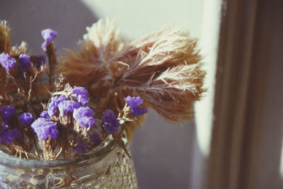 flowering plant